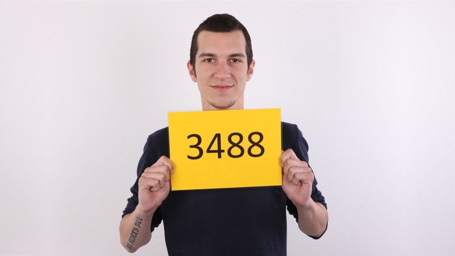 Thumbnail of CZECH GAY CASTING - DAVID (3488)